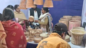 Gandhi Shilp Bazaar Gaya: Day 3 4 Gandhi Shilp Bazaar IMG